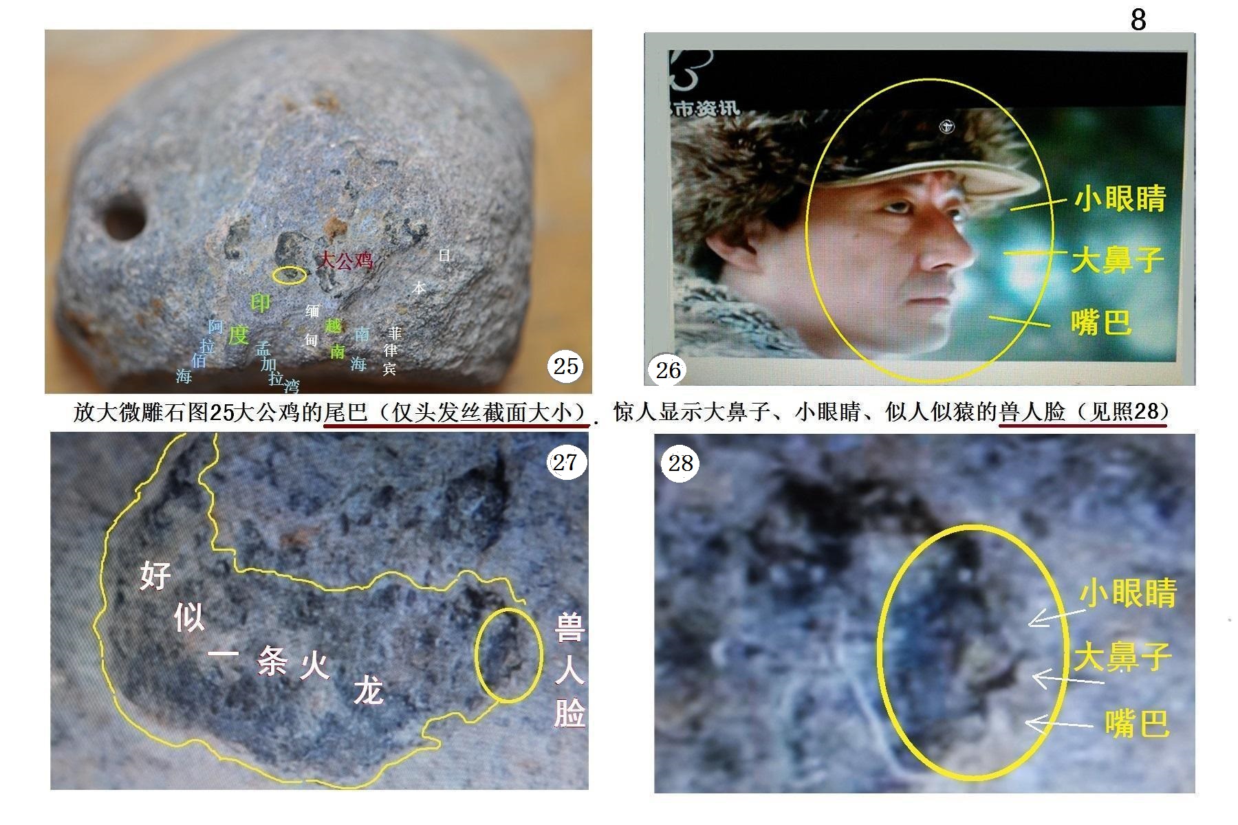 无锡震惊世界的发现：古猿人的面部居然是东南亚的地形303 / 作者:华人 / 帖子ID:39808
