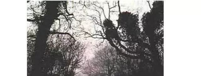 【匠寓】世界十大未解神秘事件，据说有一半现在还在闹鬼！153 / 作者:conanwchen2 / 帖子ID:39871