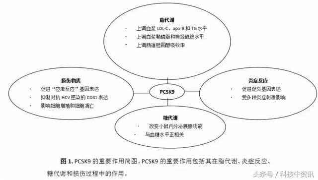清华副校长揭秘：我的认知再度崩塌，世界可能根本就不存在284 / 作者:可梦吧 / 帖子ID:39887