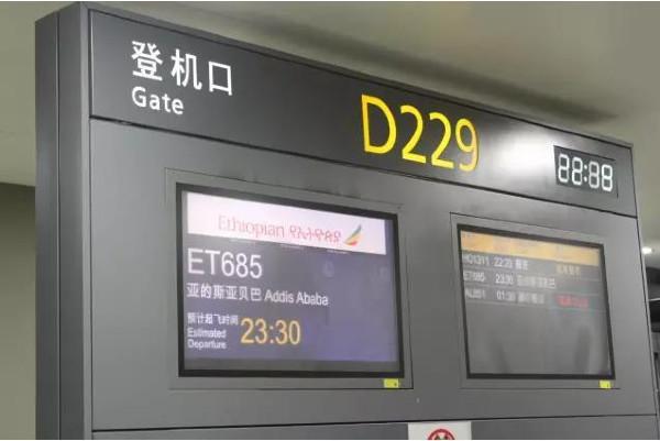 探访人类起源 埃塞俄比亚航空飞行报告及首都市内游览288 / 作者:ananokok / 帖子ID:40006