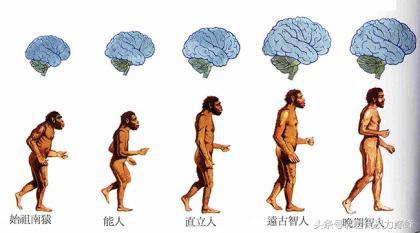 人类起源，也终将是个不解之谜177 / 作者:spiegesq / 帖子ID:40224
