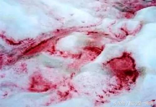 探索西藏十大神秘事件 至今无答案48 / 作者:5674152 / 帖子ID:40248