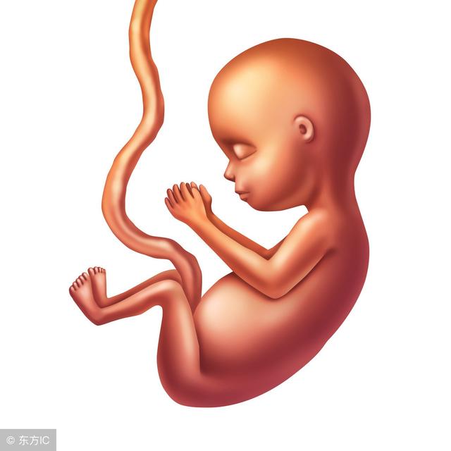 宇宙与人类（一）恒星产生自集聚 人类来自外星球540 / 作者:vooper / 帖子ID:40273