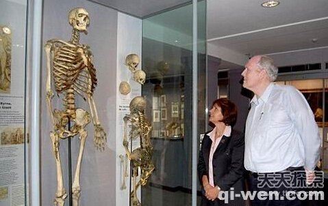 揭秘1500年前存在的爱尔兰巨人族之谜515 / 作者:UFO外星人爱好者 / 帖子ID:40313