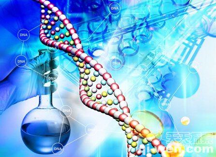 揭秘1500年前存在的爱尔兰巨人族之谜237 / 作者:UFO外星人爱好者 / 帖子ID:40313
