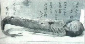 美人鱼的秘密803 / 作者:UFO外星人爱好者 / 帖子ID:40553 美人鱼的秘密803 / 作者:UFO外星人爱好者 / 帖子ID:40553