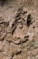 贵州藏字石救星石第六个字368 / 作者:UFO外星人爱好者 / 帖子ID:40476