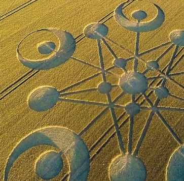 2014年英国多塞特郡首个麦田怪圈908 / 作者:UFO外星人爱好者 / 帖子ID:40421