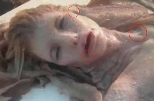 世界上真的有美人鱼存在吗522 / 作者:UFO外星人爱好者 / 帖子ID:40401