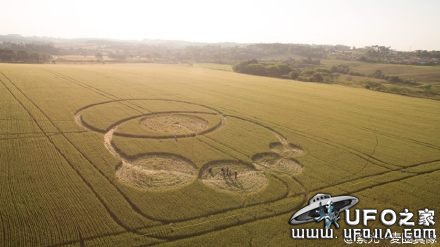 2015年10月7日巴西出现新麦田怪圈324 / 作者:UFO外星人爱好者 / 帖子ID:40335
