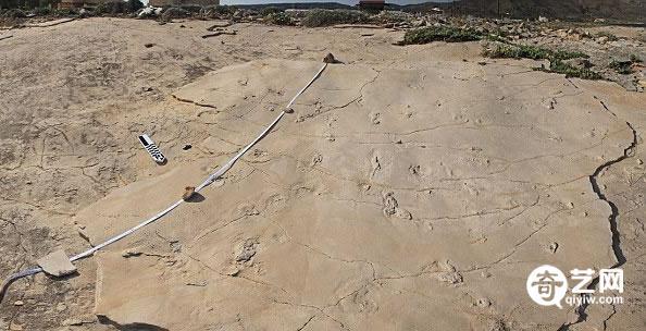 希腊发现570万年前的脚印 人类起源非洲将改写973 / 作者:twxd / 帖子ID:41194