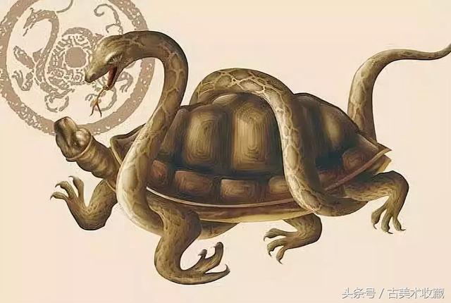 古代四灵｜青龙、白虎、朱雀、玄武428 / 作者:eason320hk / 帖子ID:41211