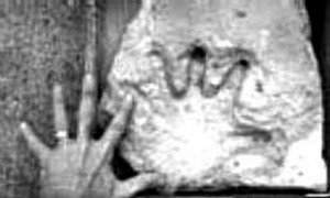 恐龙的灭绝和人类的诞生（《论平行宇宙》第十四章）754 / 作者:吴华军 / 帖子ID:41244