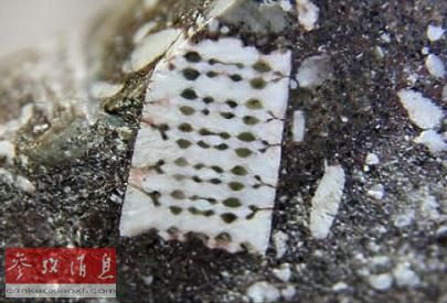 恐龙的灭绝和人类的诞生（《论平行宇宙》第十四章）868 / 作者:吴华军 / 帖子ID:41244
