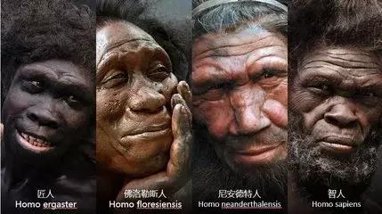 科学家发现未知人类的DNA，疑属于远古人类823 / 作者:jeff963 / 帖子ID:41274