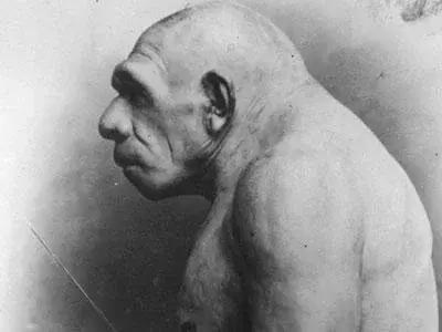 科学家发现未知人类的DNA，疑属于远古人类390 / 作者:jeff963 / 帖子ID:41274