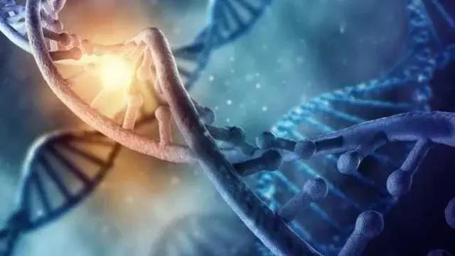 科学家发现未知人类的DNA，疑属于远古人类16 / 作者:jeff963 / 帖子ID:41274