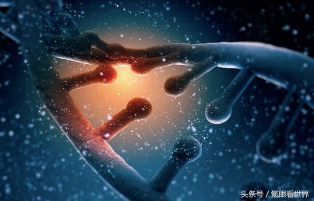 宇宙来自何处？科学家：整个宇宙就是一个巨大的生命体！734 / 作者:wyo315 / 帖子ID:41294