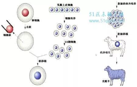 人类面临的世界十大难题 你能解开吗？483 / 作者:tgboler / 帖子ID:41303