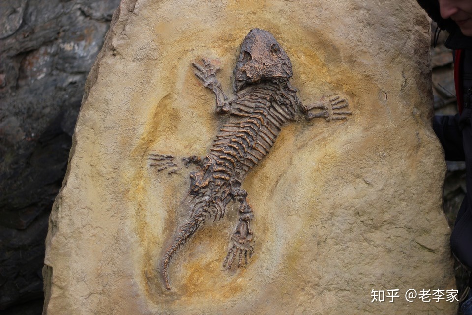 浅析世界史——人类起源566 / 作者:xdcf147 / 帖子ID:41316