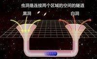人脑神经元网络与宇宙的相似性及太阳死亡后的结局172 / 作者:zyby / 帖子ID:41343