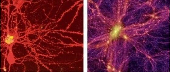 人脑神经元网络与宇宙的相似性及太阳死亡后的结局109 / 作者:zyby / 帖子ID:41343
