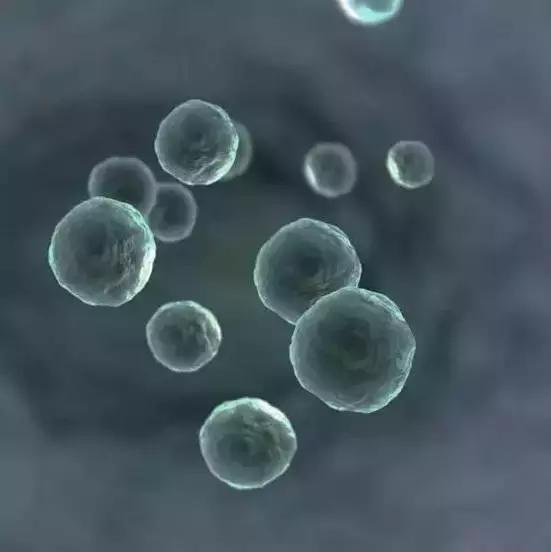 如果把宇宙138亿年压缩到1年，看完怀疑人生937 / 作者:印度大拿 / 帖子ID:41442