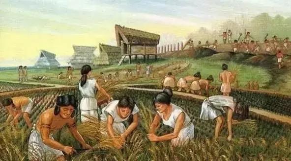 如果把宇宙138亿年压缩到1年，看完怀疑人生535 / 作者:印度大拿 / 帖子ID:41442