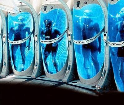 目前科学家最感到棘手的几大谜题，诺贝尔奖获得者也未必能解决860 / 作者:fishbiscuit456 / 帖子ID:41587