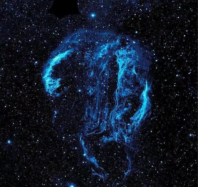 假如地球生命不存在，那么整个宇宙还有意义吗？122 / 作者:bushuang / 帖子ID:41594