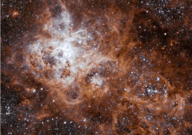 狼蛛星云位置在哪里，科学家有新发现609 / 作者:tgboler / 帖子ID:41610