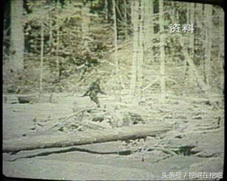 昆仑山隐藏惊人秘密：真龙现身事件是真的吗788 / 作者:cy4080 / 帖子ID:41642