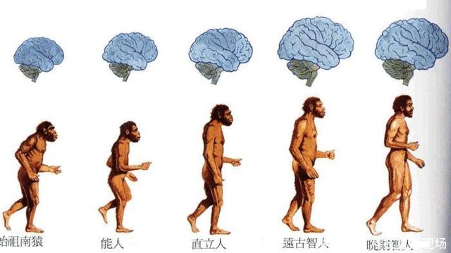 人类起源新解：我们都是外星人，而地球，是一座缧绁75 / 作者:daomei / 帖子ID:41661