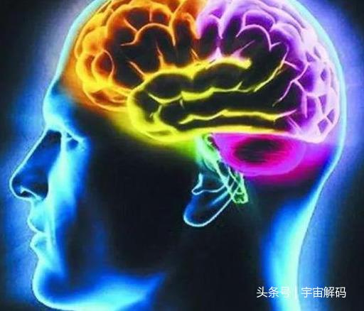 如果大脑开发到100%将发生什么？695 / 作者:ananokok / 帖子ID:41676