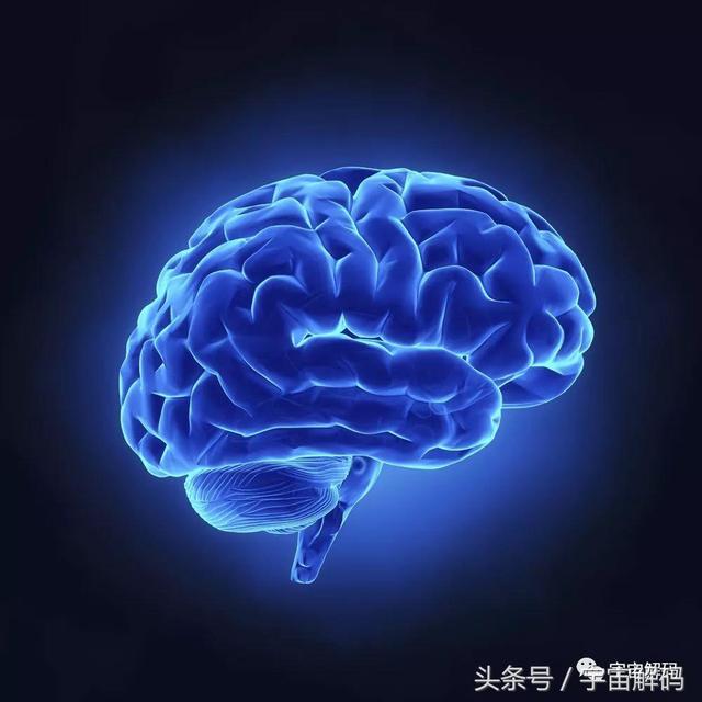 如果大脑开发到100%将发生什么？86 / 作者:ananokok / 帖子ID:41676