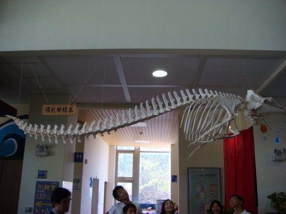 营口坠龙事件（专家不适合神秘事件）267 / 作者:chenlei520 / 帖子ID:41687