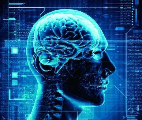 大脑和宇宙这么相似，难道一切真是一场梦？448 / 作者:zyby / 帖子ID:41794