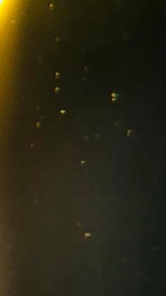UFO爱好者声称NASA隐瞒事实，外星舰队在太阳附近窃取能量120 / 作者:常务管理员 / 帖子ID:41819