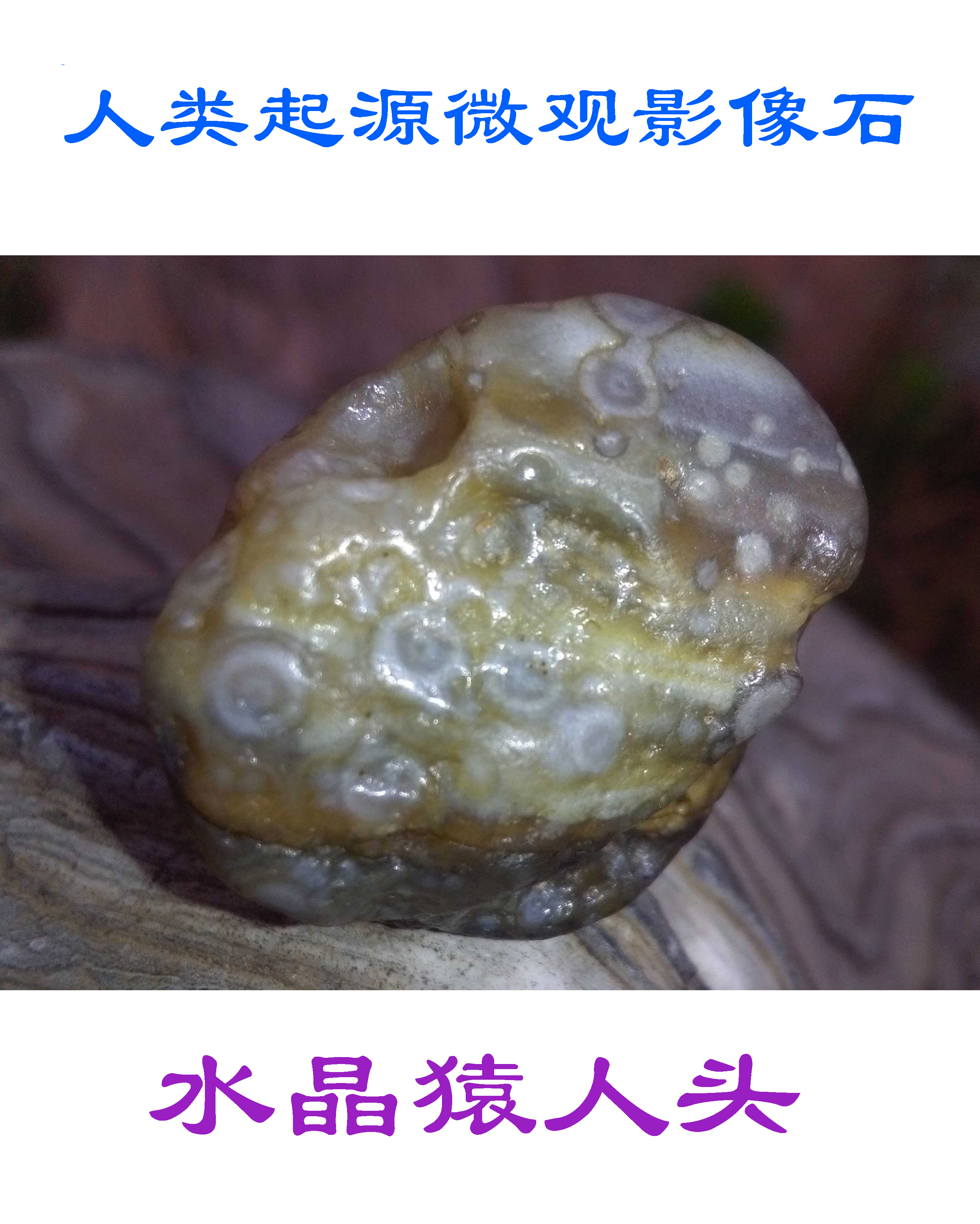 在中国发现的水晶猿人头上拍到了外星人宇航员头像和人类起源有关的影像18 / 作者:天外佛人 / 帖子ID:41857