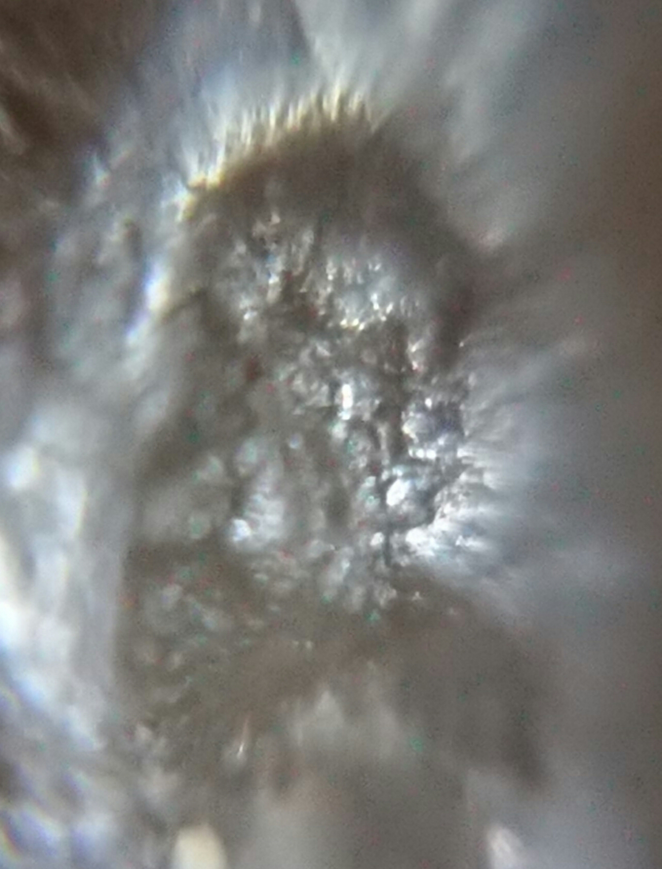 在中国发现的水晶猿人头上拍到了外星人宇航员头像和人类起源有关的影像193 / 作者:天外佛人 / 帖子ID:41857
