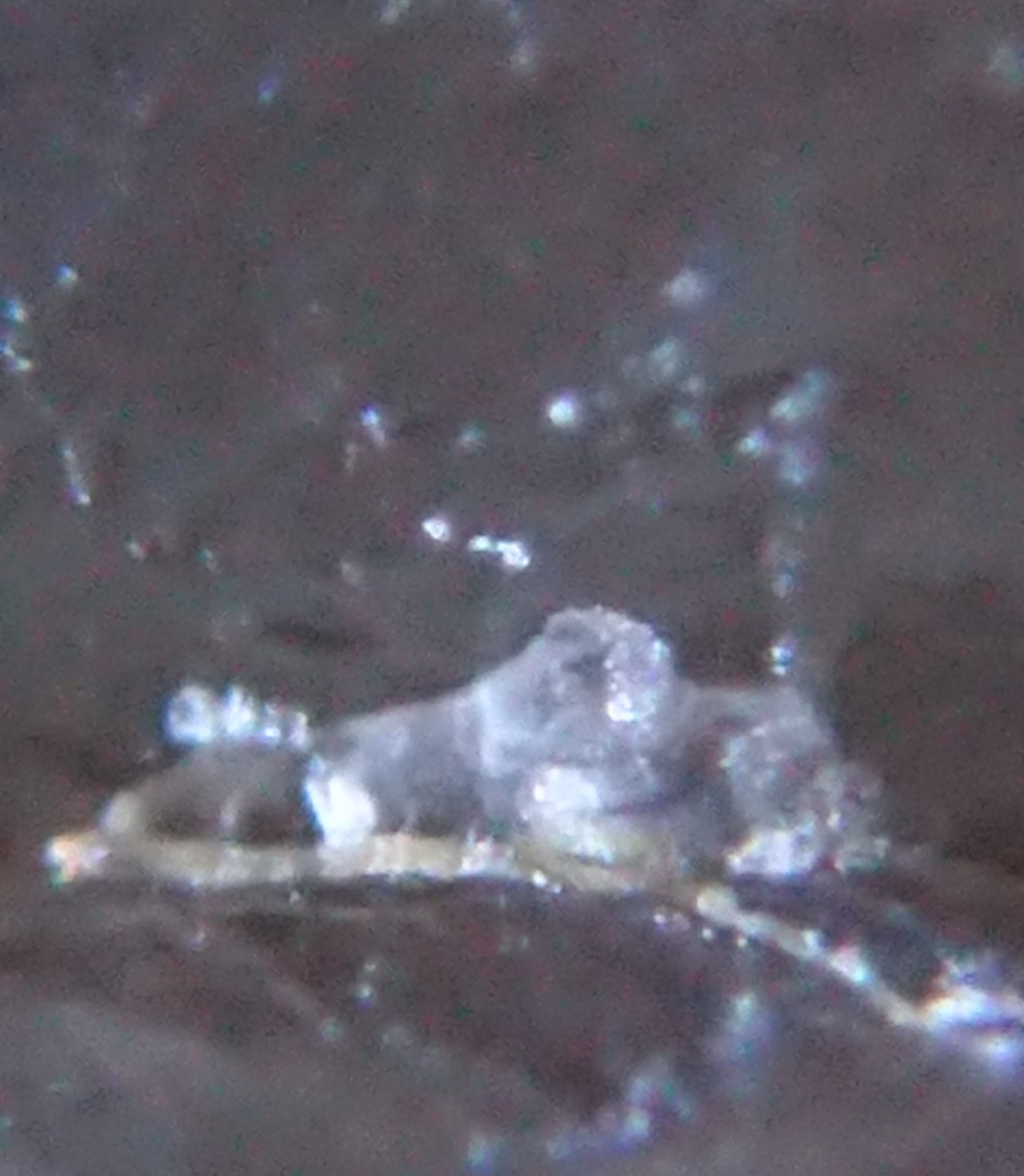 在中国发现的水晶猿人头上拍到了外星人宇航员头像和人类起源有关的影像633 / 作者:天外佛人 / 帖子ID:41857