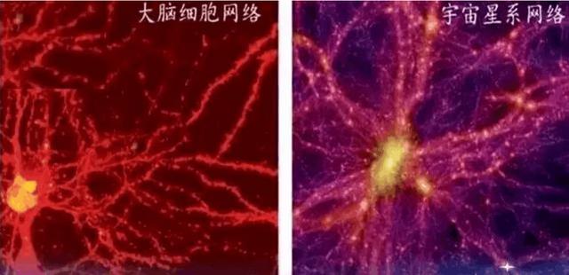 我们的大脑结构为什么和宇宙相似？718 / 作者:ADUPREce / 帖子ID:41885