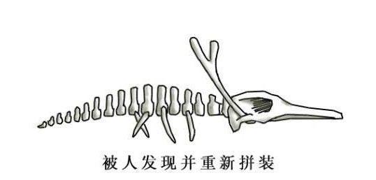 惊奇营口坠龙事件（最新解密）345 / 作者:fishbiscuit456 / 帖子ID:41891