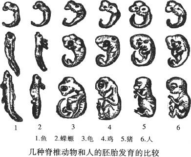 《论平行宇宙》第七章 灵魂密码433 / 作者:吴华军 / 帖子ID:41967