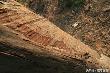 中国贵州都溪林场空中怪车UFO事件被揭秘622 / 作者:twxd / 帖子ID:42093