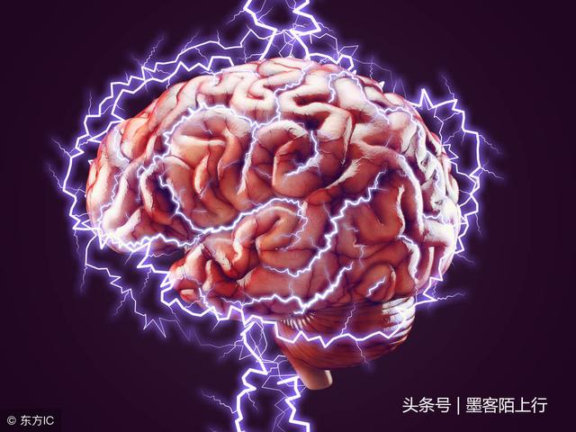 达尔文进化论或被颠覆？人类起源恐再成谜！891 / 作者:zero_river / 帖子ID:42101