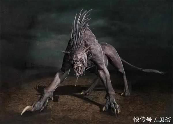 外星人遗弃在地球的生物？最后一个上了1966年报纸头条！315 / 作者:GRcSXZPy / 帖子ID:42141