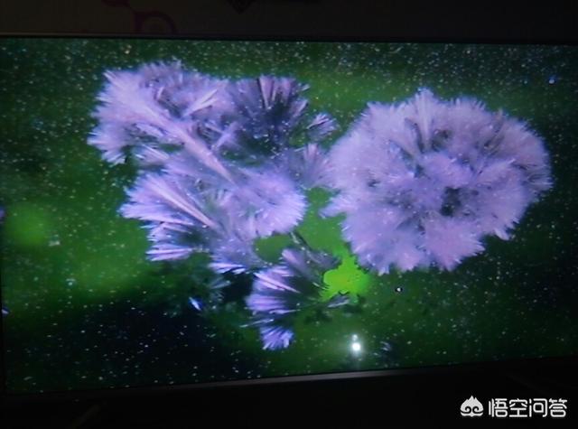 太阳系绕银河系转一圈要几年呢？168 / 作者:yy760 / 帖子ID:42165