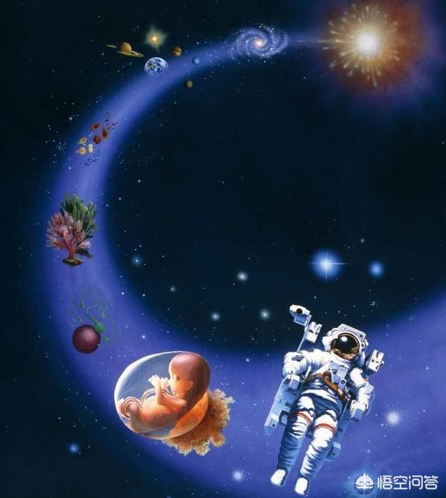 人类会不会是外星人对猿进行了DNA改造而来的？对此你怎么看？364 / 作者:47971655 / 帖子ID:42171