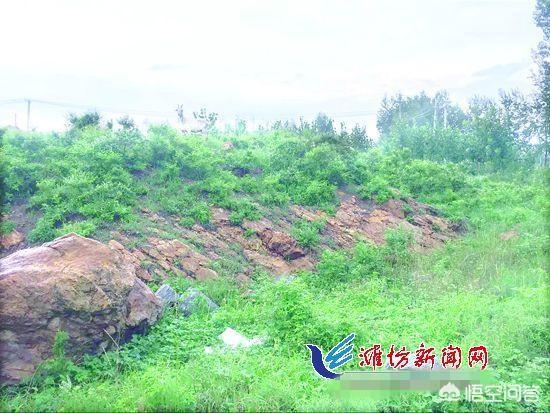 暗物质是由什么组成的？真空有另外一种能量吗？有什么科学依据吗？576 / 作者:NEkYTdbZ / 帖子ID:42173